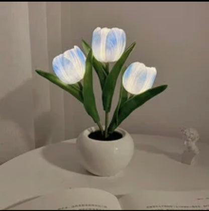 Tulpen nacht lampje